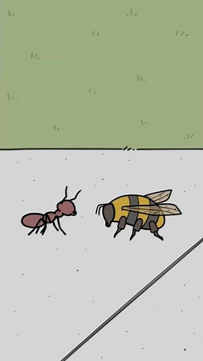 Ant Vs. Bee
