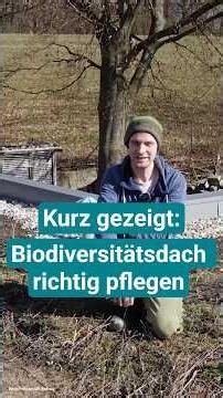 Properly maintaining a biodiversity roof – here's how!