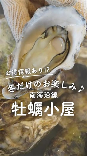 ＼冬だけのお楽しみ！南海沿線のおすすめ牡蠣小屋🦪／ 南海沿線には、 冬の旬グルメ「牡蠣」を満喫できるお店があります✨ さらに！南海電車を利用して来場した方限定🎁 おトクな特典をご用意しました💁 【特典の受け取り方】は お店紹介の後に記載していますので最後まで読んでくださいね♪ 🍴おすすめ牡蠣小屋はこちら👇 １．波有手（ぼうで）の牡蠣小屋（📍阪南市 西鳥取漁港） 最寄り駅：南海本線「鳥取ノ荘」駅 🎁1グループの飲食代を10％割引 ※他のクーポンや割引との併用は不可 ⚠️木～金曜日は予約のみ ２．N GRILLの牡蠣小屋（📍泉大津市 なぎさ公園） 最寄り駅：南海本線「泉大津」駅 🎁牡蠣1kg注文ごとに追加で牡蠣1個／1グループ（4名様）につきトウモロコシ1本／BBQ食材付きプランご注文の方：1名につきフランクフルト1本 ※上記3つの中から、いずれか1つをプレゼント ※市民サービスとの併用可 ⚠️完全予約制（4日前） 【特典の受け取り方】 ①南海電車でお店の最寄り駅へ ②駅構内に掲出されているステッカーのQRコードを スマホで読み取り来場者特典を確認 ③お店で来場者特典画面