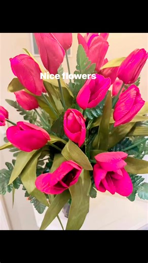 Angelina Foster on Reels