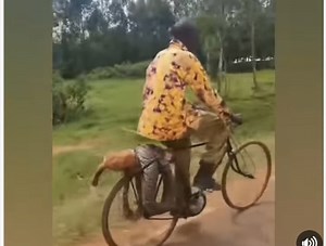 SIAYA INCIDENT, MAN UNALIVES PYTHON, TAKES IT TO POLICE STATION | MrKairo Stories