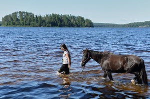 Lac La Croix Indigenous Pony