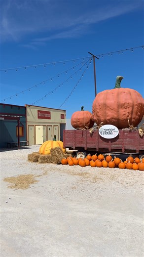Fall is in full swing at Denton Valley Farms🍂 From pumpkins and corn mazes to games and hayrides, it’s the perfect place to make fall memories. | Visit Abilene, Texas