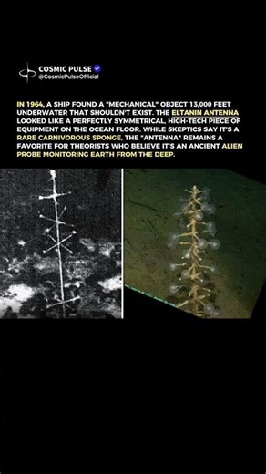 The Eltanin Antenna: A Deep-Sea Mystery or a Natural Rock?