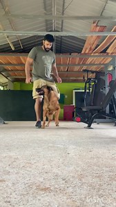 18K views · 839 reactions | Sajan Saji Cyriac. The K9 Trainer 9961310970 #dogtraining #dogtrainers #dogtrainer #dog #films #cinema #Malinois | Saajan Saji Cyriac | Facebook