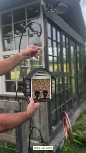 Versatile Design: Meet Every Bird's Needs with Diverse Feeds! #Kingsyard #Birdfeeder #Birds