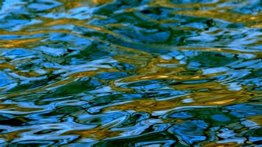 水 波浪 湖 - Free video on Pixabay