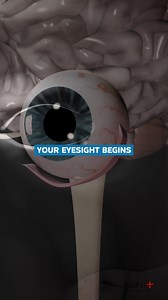 Simple Tips for Healthy Eyes #health #eyehealth #fitness #wellness | Health