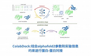 Colabdock:结合alphadock2和实验信息约束进行蛋白-蛋白对接-02:分子对接与可视化
