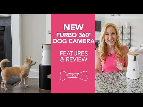 Furbo 360º Dog Camera: New Features & Review!