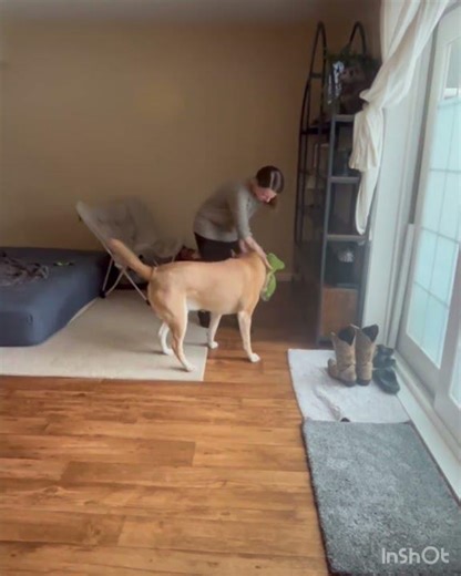 What is structured play and why is it better than the typical playtime? Follow us to learn more!