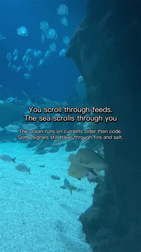 Movement in water follows pressure, memory, and shared response. The turn begins as a field, then becomes visible. #analoghorror#analoghorrorliminalspaces #oceanmystery #digitaldetox