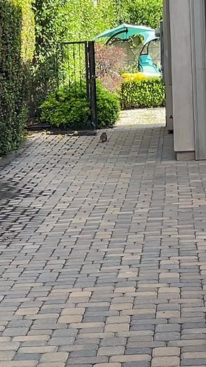 Tag a friend who loves gettibg their nails done!