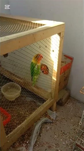 mini zoo tour #pets life Pakistan offical#like and subscribe