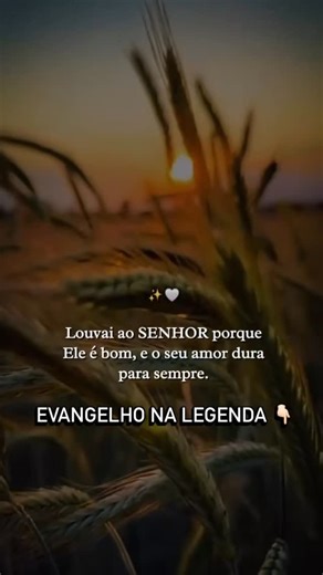 Fé 👉Sabedoria 👉Deus on Instagram: "Evangelho (Mc 6,30-34) - Aleluia, Aleluia, Aleluia. - Minhas ovelhas escutam minha voz, eu as conheço e elas me seguem. Proclamação do Evangelho de Jesus Cristo segundo Marcos. -Glória a vós, Senhor. Naquele tempo, 30 os apóstolos reuniram-se com Jesus e contaram tudo o que haviam feito e ensinado. 31 Ele lhes disse: “Vinde sozinhos para um lugar deserto, e descansai um pouco”. Havia, de fato, tanta gente chegando e saindo que não tinham tempo nem para comer.