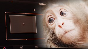 Behind-The-Scenes of Snow Monkeys, Part 2: Post-Production | Nature