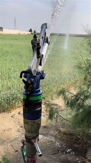 diy lawn irrigation system #sprinkler #irrigation #lawn #farming #foryou @modernirrigation