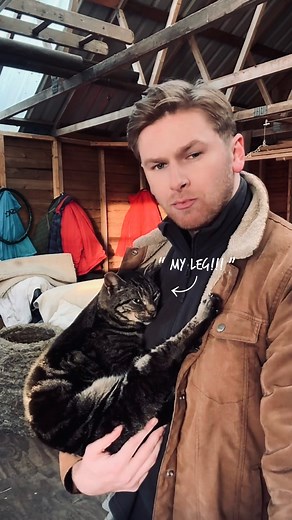 Harry & Lippy on Instagram: "A short story  . . . . . . . . . . #cat #catsofinstagram #cats #catstagram #instacat #catlover #catoftheday #catlovers #cats_of_instagram #ilovemycat #catsagram #lovecats #catlife #tabbycat #cutecat #catlove #kittycat #instacats #caturday #vacations #instagramcats #cats_of_world #mycat #cutecats #lippy #catdad #cat_features"