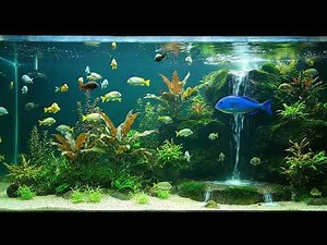 Cinematic Aquarium with Waterfall — 2 Hours of Giant Tank & Swimming Fish (4K ASMR)