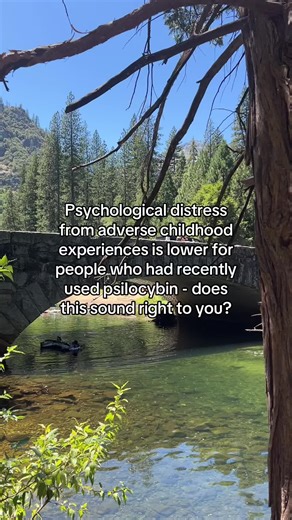 Researchers conducted an online survey assessing interest in, acceptability of, and recent experiences with sillycybin use among adults who had experienced adverse childhood experiences (ACEs). They measured childhood adversity & psychological distress, then compared distress levels between people who had used silly cybin in the past three months and those who had not. The study found strong acceptability of cybin across all ACE levels and a statistically lower association between ACEs and psych