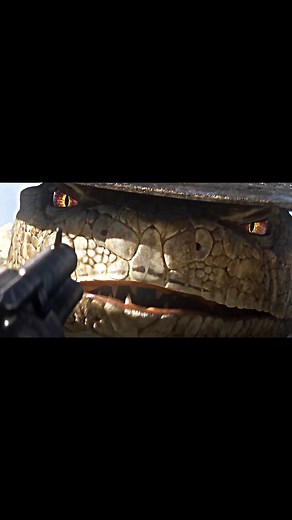 Rango vs Jake: Intense Showdown