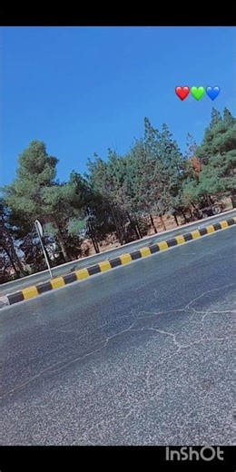 اشارة النسر بالاردن ,,, شعار الفخامة بالاردن