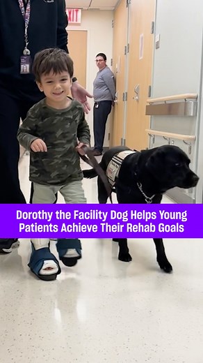 When 5-year-old Liam Block began physical therapy through Rusk Rehabilitation at NYU Langone Orthopedic Hospital, he had a whole care team supporting him—including a special four-legged, furry friend named Dorothy. Better known as Dot, she’s a facility dog trained to help young patients complete their rehab therapies. For Liam, who has mild cerebral palsy, she played an integral role in his recovery after complex spinal surgery. Before the procedure, he couldn’t stand or walk without help—but no