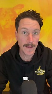 2.2K views · 24 reactions | REACTIVE DOG Hot Tip Exercises that may seem irrelevant, can be the most powerful. #melbournedogs #dogtrainer #dogtraining #rescuedog #reactivedog #doglovers #dogsport #prodogfam #westfootscray #reactivity | Pro Dog Training | Facebook