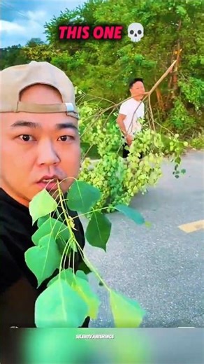 Others Small, Big, Biggest vs. last one 💀