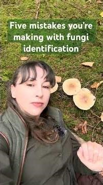 Five mistakes you’re making with fungi identification - and how to fix them