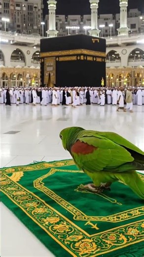 beautiful#quran #dua