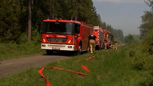 Video. Fire breaks out on Belgian-German border, affecting over 170 hectares