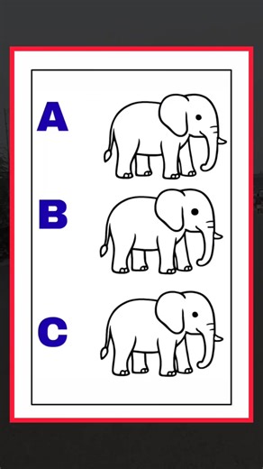 Which Elephant 🐘 is different here? #ChallengeAccepted #MindWorkout #BrainPower #VisualPuzzle #SolveItNow #BrainHack #DailyPuzzle #MindBlown #BrainTraining #PuzzleLovers #BrainyFun | Jimmy Donaldson
