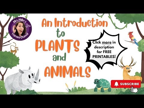 Offspring: Lesson 1 - 1st Grade Science: Plants and Animals
