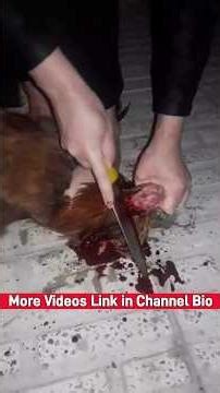 Woman slaughter chicken