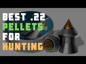 5 Best .22 Pellets For Hunting | Check Best .22 Pellets Reviews Today