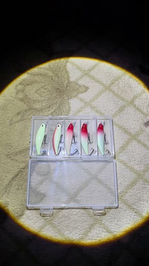 5pcs luminous lure https://s.shopee.ph/6AbGIUmqu5 | Ulitawong Pobre
