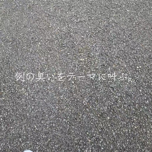 #ストピ即興戯曲集合体音叉のくまこ #即興シンガーソングライティング