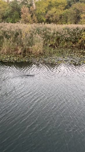 337 reactions · 8 comments | During an almost Sunset walk last...