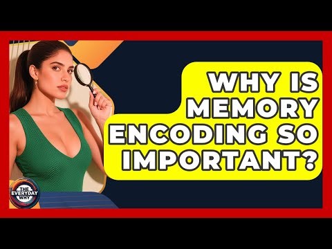 Why Is Memory Encoding So Important? - The Everyday Why