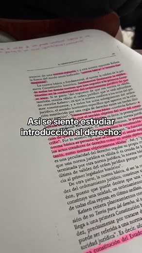 Estudiar Introducción al Derecho desde una Perspectiva Crítica
