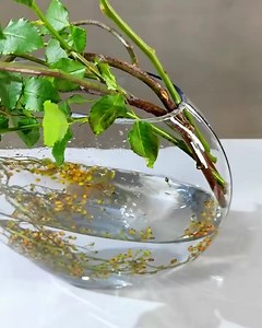 A simple DIY with a great result! | Anime Pause