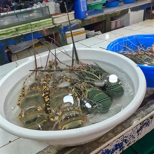 I explored one of the most authentic local fish markets in Manila, Philippines, and it was an experience like no other. From freshly caught seafood to deep cultural moments, this isn’t your average tourist stop. #ManilaPhilippines #FilipinoFood #PhilippinesTravel | Strictly Dumpling