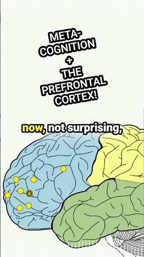 #METACOGNITION + THE #PREFRONTALCORTEX !