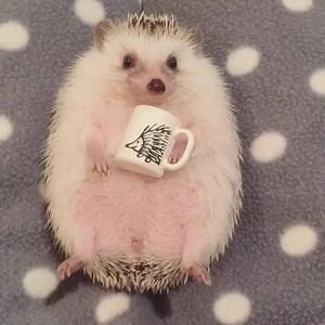 12K views · 395 reactions | Love this!! <3 :D | Beautiful World | Facebook