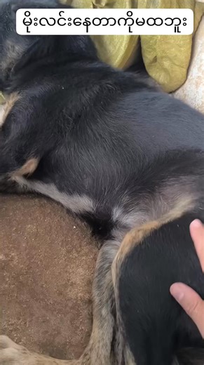 haha | Mobile Firmware update | Facebook