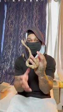 Unboxing my new boa 🐍🕳️ #boa #reptiles ##fypシ #shorts #subscribe