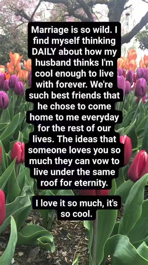 206K views · 1.2K reactions | Marriage | Word Porn | Facebook