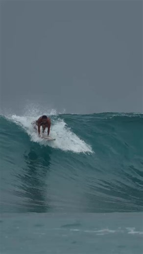 Watch This Funny Surfing Video