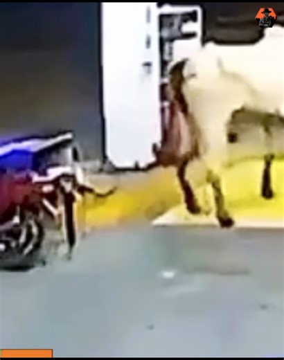 Incredible footage captured by surveillance camera | Play